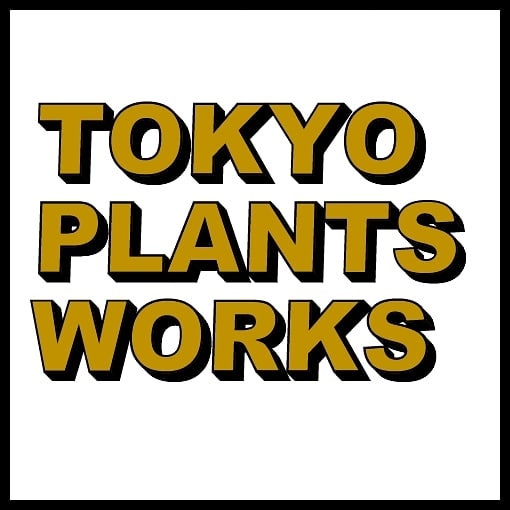 日々寒くなってきていますが、寒さに強い植物もあるんですよ🏻‍♀️.贈答品やちょっとしたギフト、ご自宅用などなどご予算ご要望にお応えします🤲🏻.#東京プランツワークス #tokyoplantsworks #tpw#観葉植物 #観葉植物インテリア #ロゴ #インテリア #インスタグラム #ギフト #贈答品 #お祝い #予算 #秋#冬#おすすめ #ホームページ #問い合わせ #ご要望 #観葉植物のある暮らし #東京#tokyo#日本橋